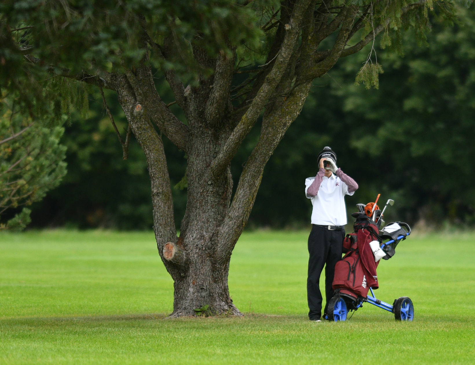 Class 1A Orion Regional Boys Golf